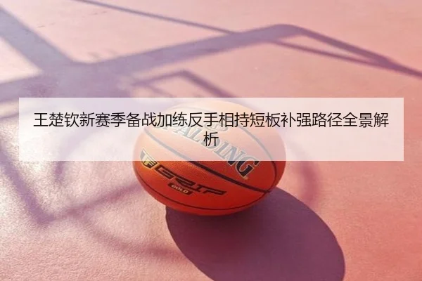 王楚钦新赛季备战加练反手相持短板补强路径全景解析